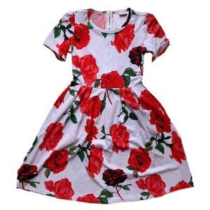NEW M LuLaRoe Amelia Dress Floral‎ Red White Preppy Pleats Pockets 90s Zipper